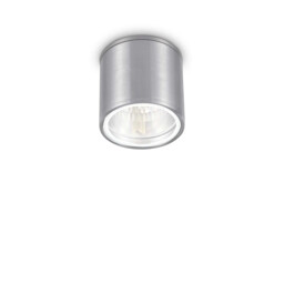 Gun 1 Light Outdoor Surface Mounted Ceiling Downlights Aluminium, Polished Chrome IP44, GU10