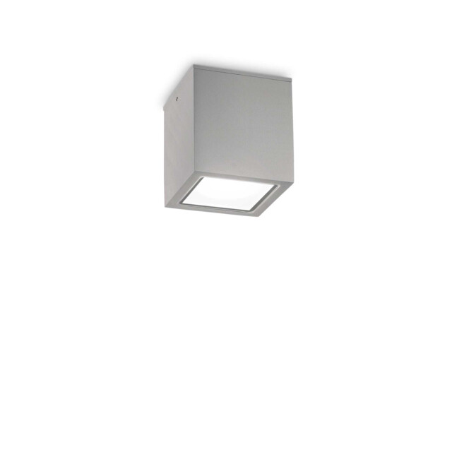 Techo Small Surface Mounted Downlight Grey IP54