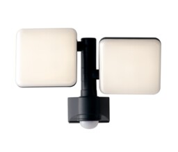 Sat Outdoor Built-In LED Flood Light With Night And Pir Motion Sensor, Black White, IP54, 4000K