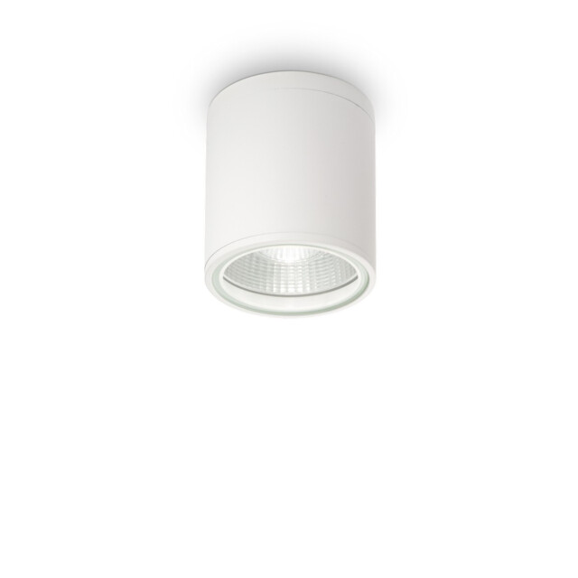 Gun 1 Light Outdoor Surface Mounted Ceiling Downlights White, Polished Chrome IP44, GU10