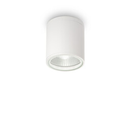 Gun 1 Light Outdoor Surface Mounted Ceiling Downlights White, Polished Chrome IP44, GU10