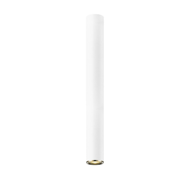 Loya Large Surface Mounted Downlight, Matt White, French Gold, 1x GU10