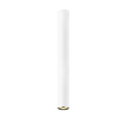 Loya Large Surface Mounted Downlight, Matt White, French Gold, 1x GU10