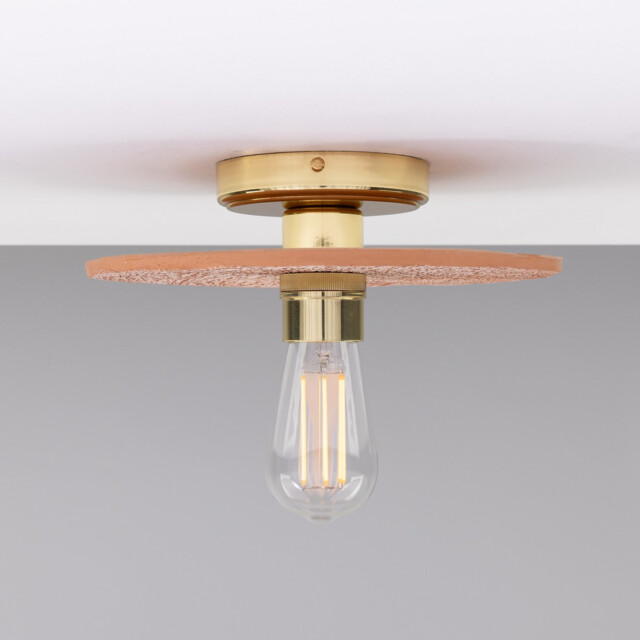 Bog Oak Ceiling Light, Red Iron, Polished Brass - image 1