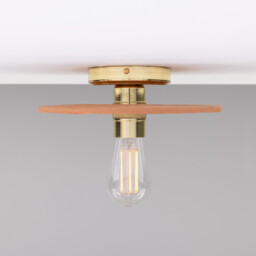 Bog Oak Ceiling Light, Red Iron, Polished Brass - thumbnail 2