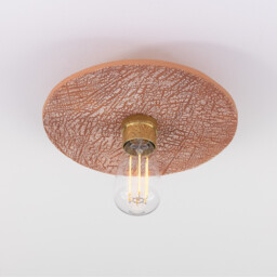 Bog Oak Ceiling Light, Red Iron, Polished Brass - thumbnail 3