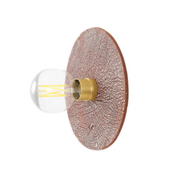 Bog Oak Wall Light Red Iron, Satin Brass - thumbnail 2