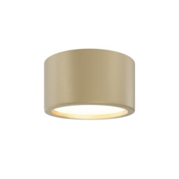 Hydra Surface Mounted Downlight Matte Gold 3000K 1270lm IP44