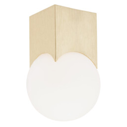 Austin Surface Mounted Downlight Opal Matt, Brushed Brass