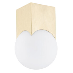 Austin Surface Mounted Downlight Opal Matt, Brushed Brass - thumbnail 2