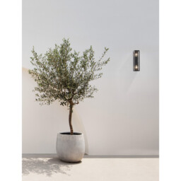 Regina 2 Light Outdoor Wall Lantern Anthracite Aluminium, Clear Glass LED E27 IP65 - thumbnail 2