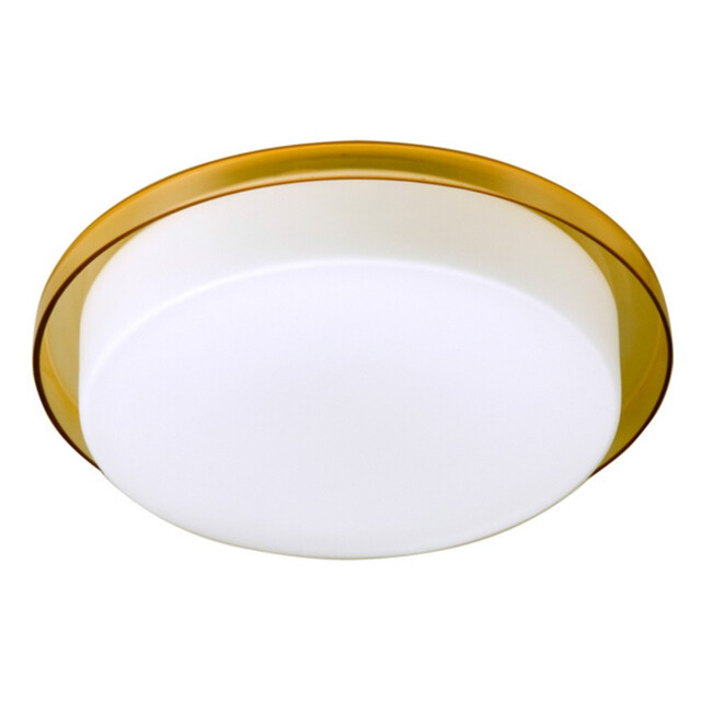 Tray Flush Ceiling Light Orange