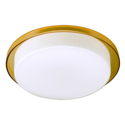 Tray Flush Ceiling Light Orange