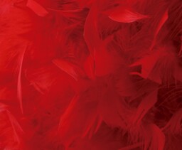 Arqus Feather Shade Red 330mm x 200mm - thumbnail 5