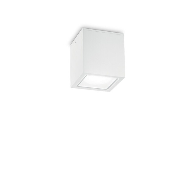 Techo Outdoor Surface Mounted Downlight White IP54, GU10 - image 1