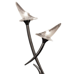 Flavia Table Lamp 2 Light G9, Black Chrome - thumbnail 5