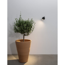 Fend Outdoor Display Light Black Aluminium, Glass LED 10W 742Lm 3000K IP65 - thumbnail 2