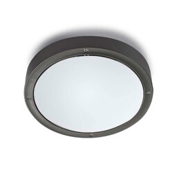 Basic Outdoor Simple Flush Urban Grey, Opal IP65 E27