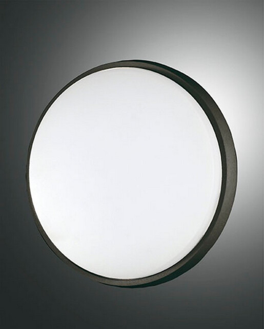 Olly LED Outdoor Surface Mounted Downlight Black Glass, IP54