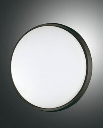 Olly LED Outdoor Surface Mounted Downlight Black Glass, IP54