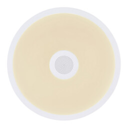 Raffy Decorative Flush Ceiling Light White IP44 1x RGB LED Dimmable 3000-6500K Remote Control - thumbnail 3