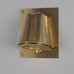 Wade Outdoor Wall Light With Back Plate, Raw Brass, IP54 - thumbnail 1