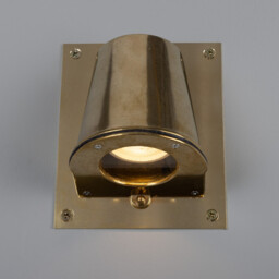 Wade Outdoor Wall Light With Back Plate, Raw Brass, IP54 - thumbnail 5