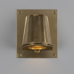 Wade Outdoor Wall Light With Back Plate, Raw Brass, IP54 - thumbnail 2