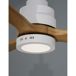 Silky Ceiling Fan Matt White Steel, Glass Oak Wood - thumbnail 5