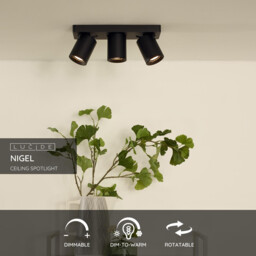 Nigel Modern Ceiling Spotlight - LED Dim to warm - GU10 - 3x5W 2200K/3000K - Black - thumbnail 2