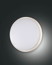Olly LED Outdoor Surface Mounted Downlight White Glass, IP54
