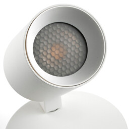 Stan Single Spotlight Matt White - thumbnail 5