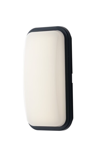 Shelly Outdoor Built-In LED Flush Ceiling Lamp, Anthracite, IP65, 4000K