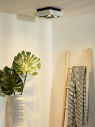Xirax Modern Ceiling Spotlight - LED Dim to warm - GU10 - 4x5W 2200K/3000K - White - thumbnail 5