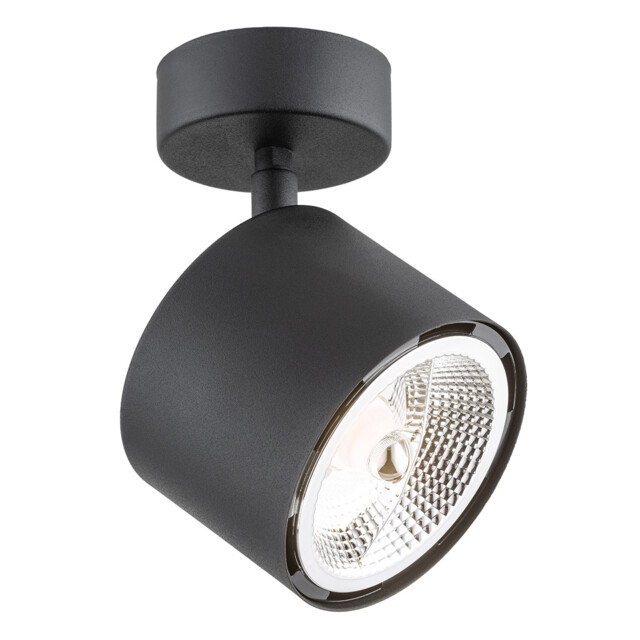 Clevland Single Spotlight Black Structure - image 1