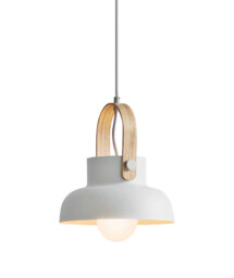 Pefka 23.5cm Dome Pendant Ceiling Light White Matt 1xE27