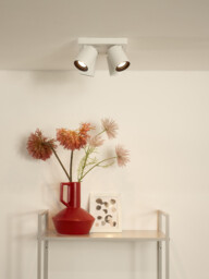 Nigel Modern Ceiling Spotlight - LED Dim to warm - GU10 - 4x5W 2200K/3000K - White - thumbnail 5