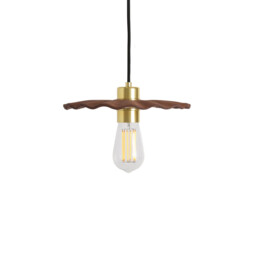 Kapok Pendant Red Iron, Polished Brass