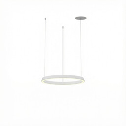 Circular Downward Recessed 62cm Home White LED 33W 4000K Dali Dimmming