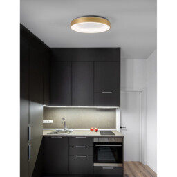 Rando Thin 60cm Integrated LED Semi Flush Light Brushed Gold Aluminium LED 50W 3250Lm 3000K - thumbnail 2