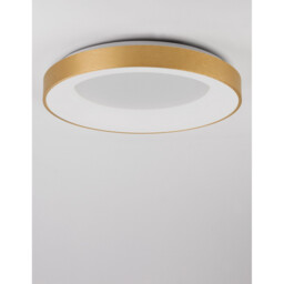 Rando Thin 60cm Integrated LED Semi Flush Light Brushed Gold Aluminium LED 50W 3250Lm 3000K - thumbnail 5