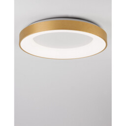 Rando Thin 60cm Integrated LED Semi Flush Light Brushed Gold Aluminium LED 50W 3250Lm 3000K - thumbnail 3