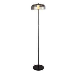 1 Light Led Floor Lamp, Matt Black With Smoked Glass