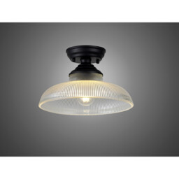 Dresden Flush Ceiling Lamp E27 With Round 30cm Glass Shade Matt Black, Clear - thumbnail 3