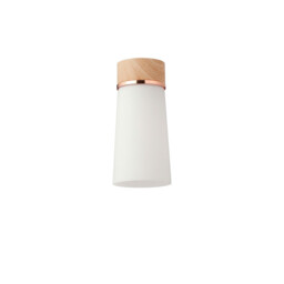Freedom Ceiling Lamp E27, With Small Opal Cylindrical Cone Glass Teak, Opal, Matt Black - thumbnail 5
