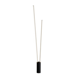 Vertical 2 Light Floor Lamp, 44W LED, 3000K, 2600lm, Dimmable, Black, 3yrs Warranty - thumbnail 1