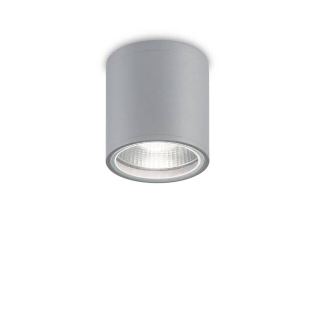 Gun 1 Light Round Surface Mounted Downlight Grey IP44