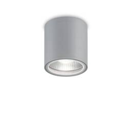 Gun 1 Light Round Surface Mounted Downlight Grey IP44
