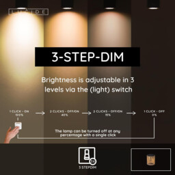 Lucide PINGI - Rechargeable Floor lamp Indoor/Outdoor - Battery pack - Ø 33,5 cm- LED 3 StepDim - 1x3W 3000K - IP44 - Taupe - thumbnail 5