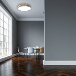 Borneo Dimmable LED Flush Ceiling Light Grey Remote Control - thumbnail 3
